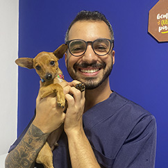 atendimento veterinário