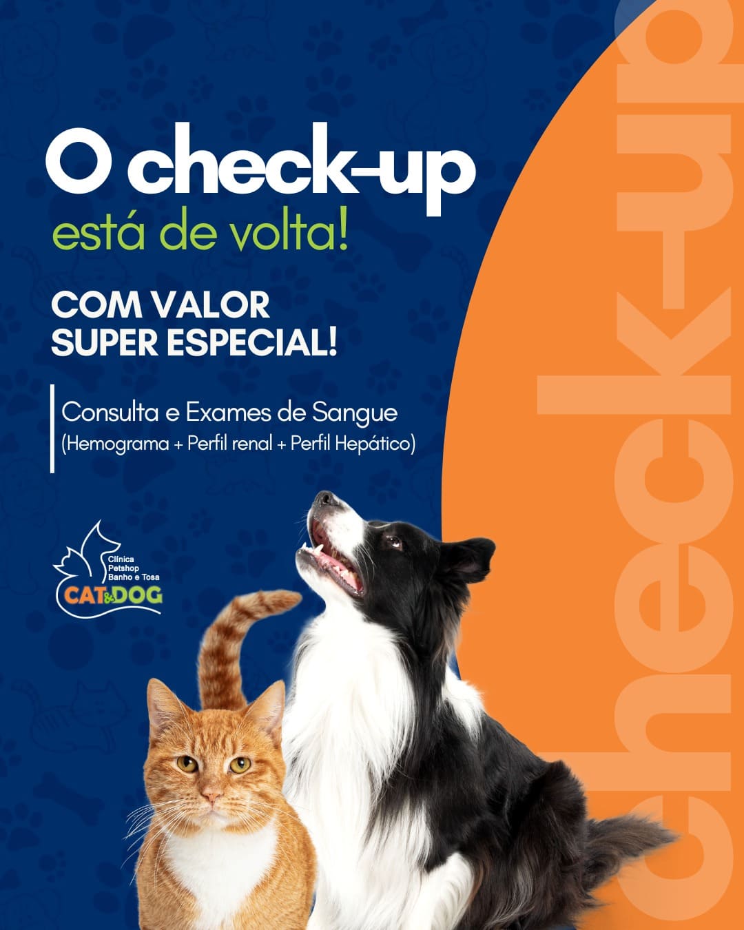 Checkup - Exames -Cat e Dog